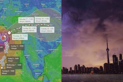 Bijoy Vavajodu Live Location Tracker Map Today