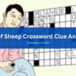 City of Sheep Crossword Clue Answers (Decode Now)