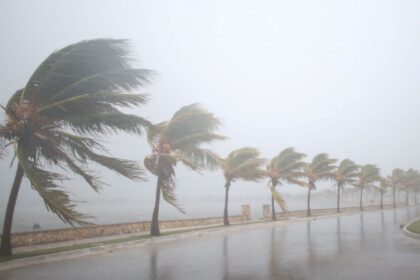 Live Vavajodu Gujarat 2023 Today: Insights into Cyclone 'Biporjoy' and Its Projected Path