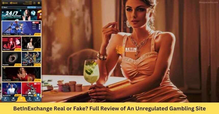 BetInExchange Real or Fake? Full Review of An Unregulated Gambling Site - Scam or legit