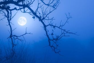 Super Blue Moon (2023) in India Time, Date and How to Watch Tonight