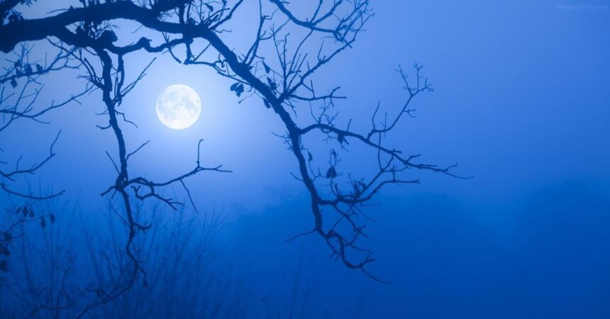 Super Blue Moon (2023) in India Time, Date and How to Watch Tonight