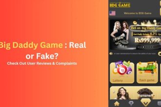 Is Big Daddy Color Prediction Game Real or Scam? Check Review