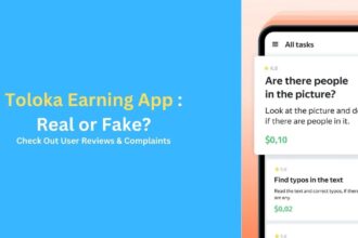 Is Toloka AI Real Earning App or Fake? Check Out User Review