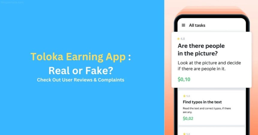 Is Toloka AI Real Earning App or Fake? Check Out User Review