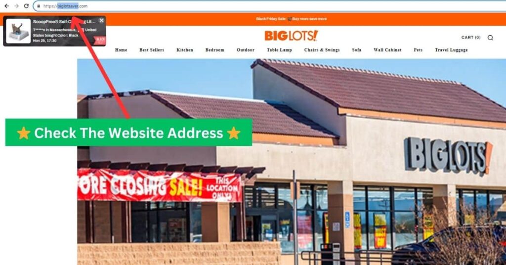 Red Flags of Big Lots Fake Domains