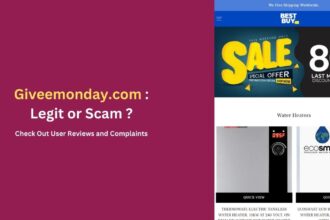 Giveemonday.com Scam Report: User Complaints & Reviews