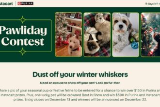 Pawliday Contest Review (2023): Is Pawlidaycontest Com Scam?