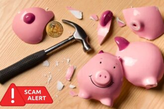 Pig Butchered for $260k: The Devastating Crypto Scam Exposed
