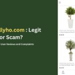 Shoptallyho.com Scam Store: User Reviews & Complaints