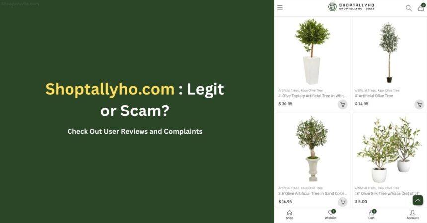 Shoptallyho.com Scam Store: User Reviews & Complaints
