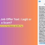 Received Temu Remote Job Offer Text: Is it a Scam?