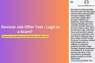 Received Temu Remote Job Offer Text: Is it a Scam?