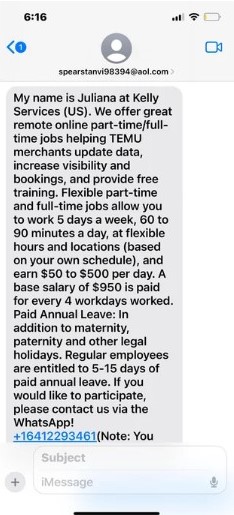 Temu Remote Job Offer Scam Text Example