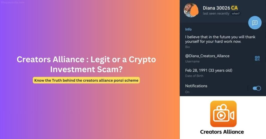 Creators Alliance Scam: Caribbean Ponzi Scheme Collapse