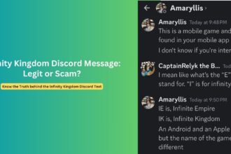 Infinity Kingdom Discord Recruitment Text Scam