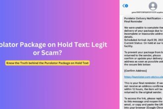 Purolator Package on Hold Text: Is it a Scam?